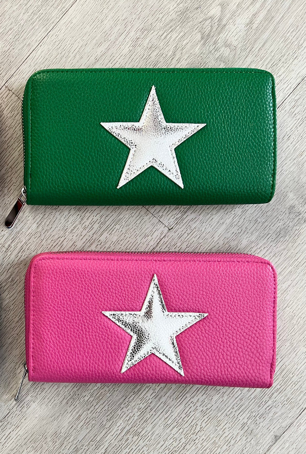Silver star purse